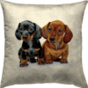 Dachshund-Teckel - Cushion Cover - Image 2