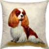 Cavalier King Charles Spaniel - Cushion Cover (47x47 cm)