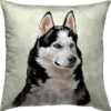 Siberian Husky - Cushion Cover (47x47 cm)
